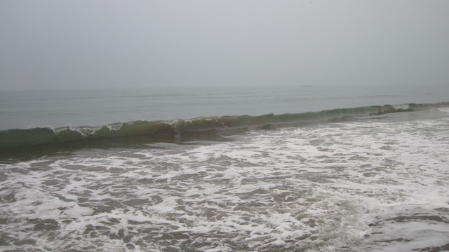 IMG-1237