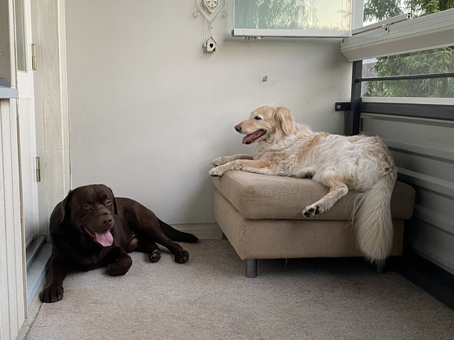 36-C43420-4-B93-4782-A6-DF-F26978-F74735