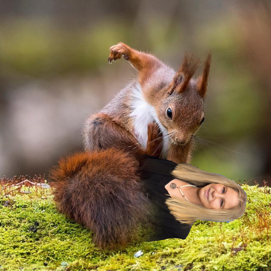 barb.png