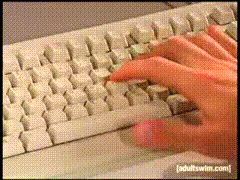34324324324.gif