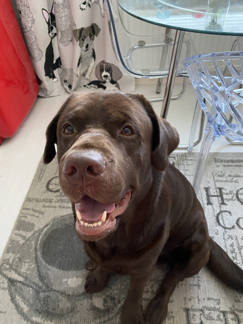 EF684-E60-EEE4-4-C40-AF79-D22192-C2-AABD