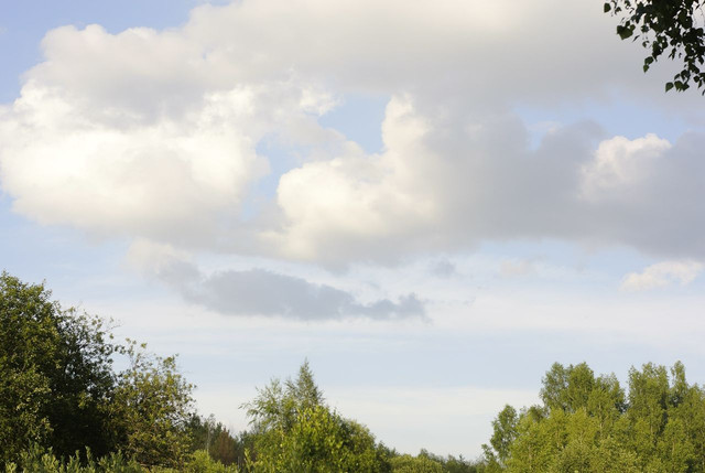 DSC5329-result.jpg