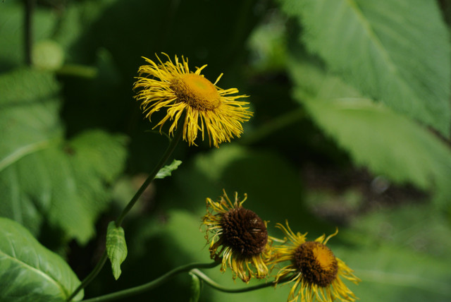 DSC5504.jpg