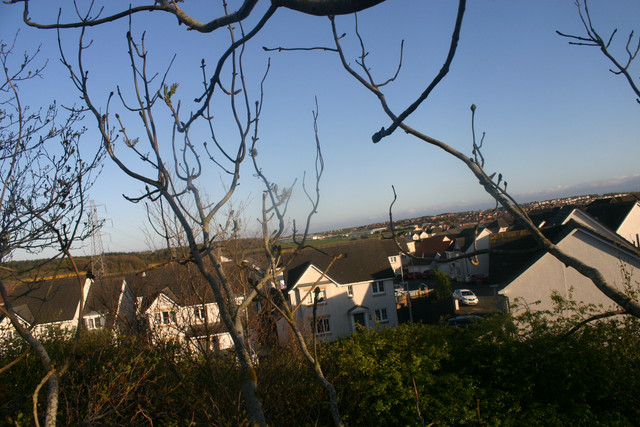 IMG-0373