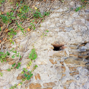 20161010-110604