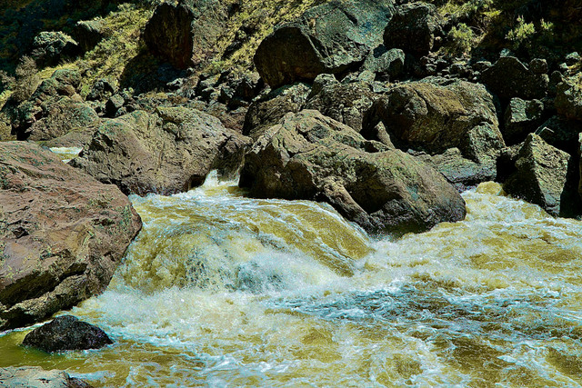 DSC01363