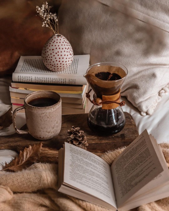 tumblr-d2012a7edb1d6c454e22053d057936fb-e2930d1e-540