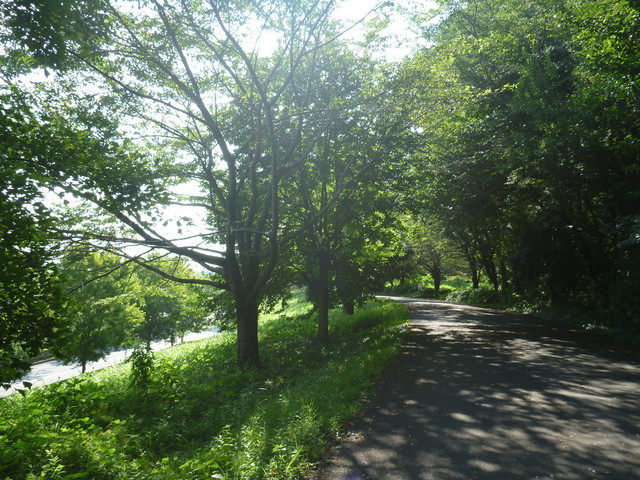 P1340793