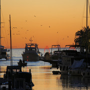 IMG-3654