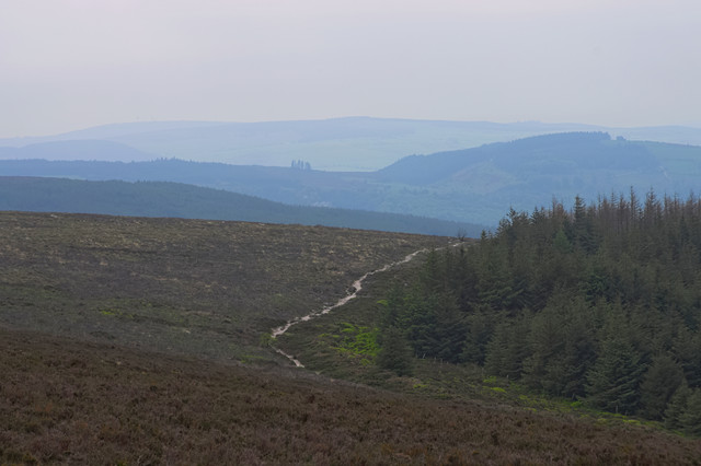 IMGP8387.jpg