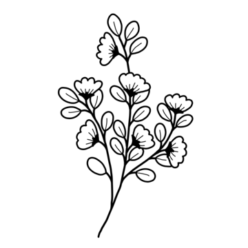 f81b561dd01acb23bc5cdafb7c0d5f0f Copy.png
