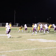 IMG-6645