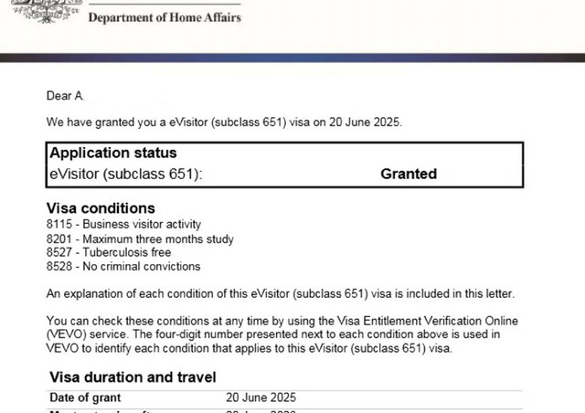 E-visa
