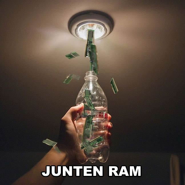 ram.jpg