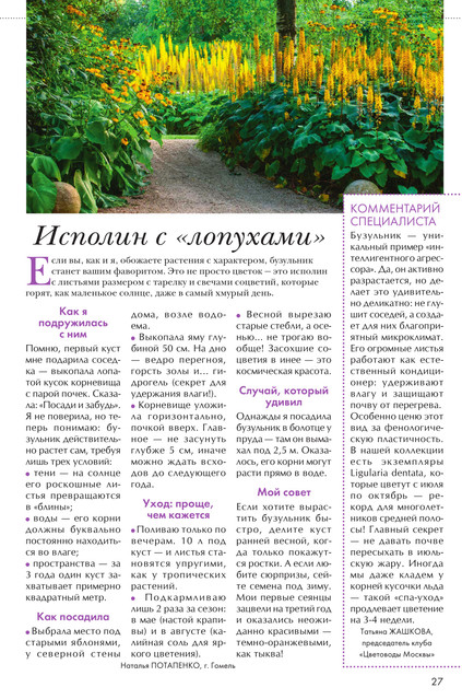 Цветок 2025 11 27.jpg