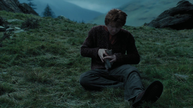 harry4.jpg