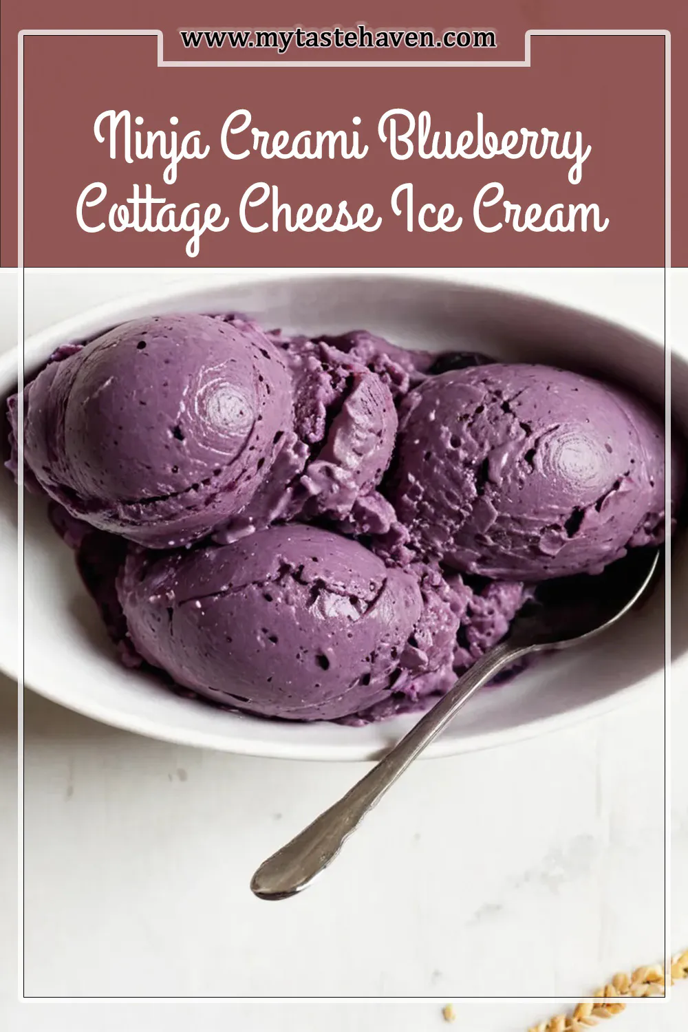 Ninja Creami Blueberry Cottage Cheese Ice Cream