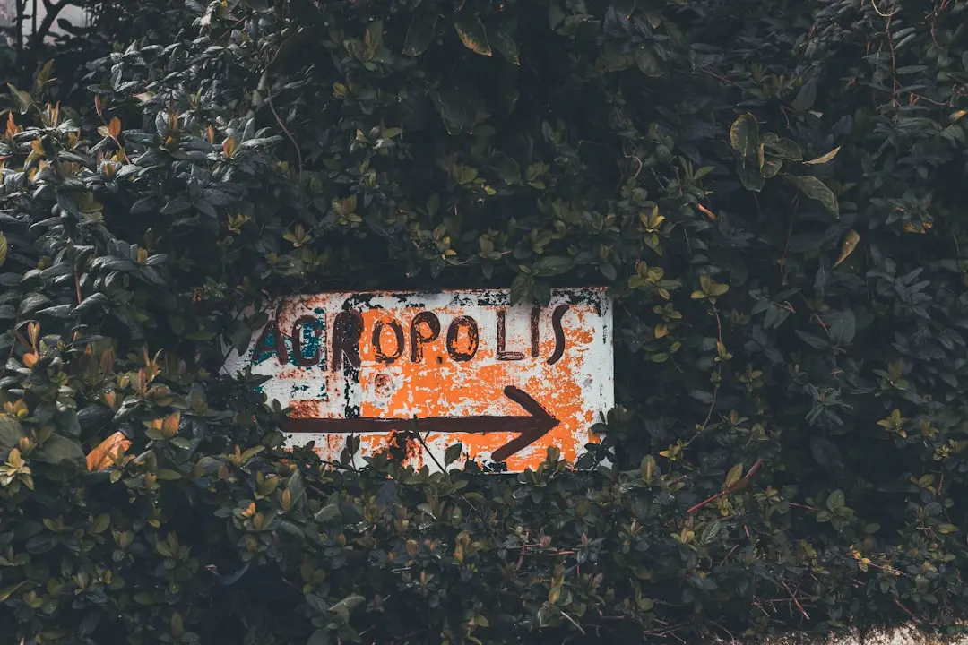 Horoscop săptămânal Taur . 1 iunie - 7 iunie 2026