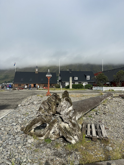IMG-7093