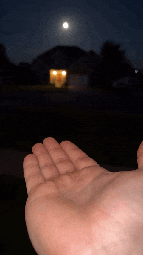 Image.gif