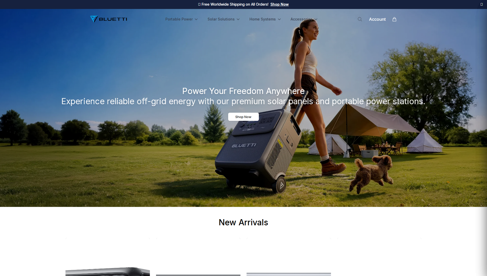Primary capture · bluettiukstore.shop