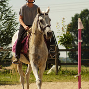 DSC03930
