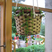 IMG 6451