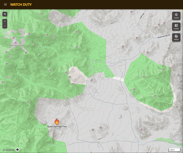 quail spring fire