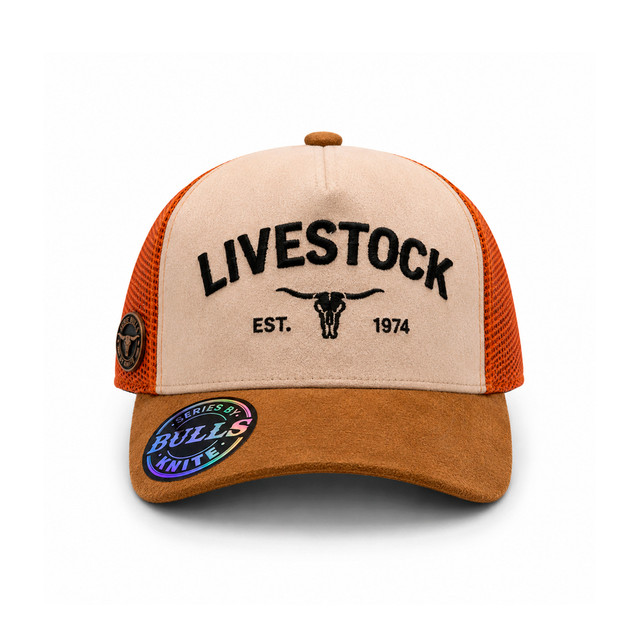 GOKNSTMPDBLLBECANA 2