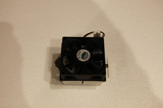 IMG-8855.jpg