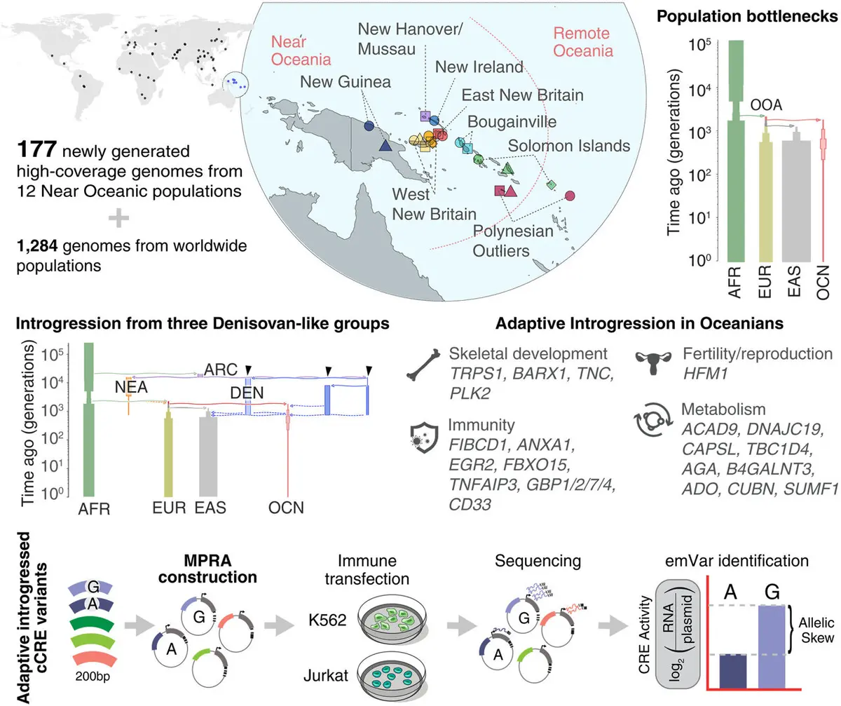 Oceania Genomes Reveal Human Evolution Secrets