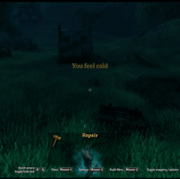 buildcamera.gif