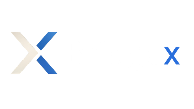 Logo Bridgex Consultoria