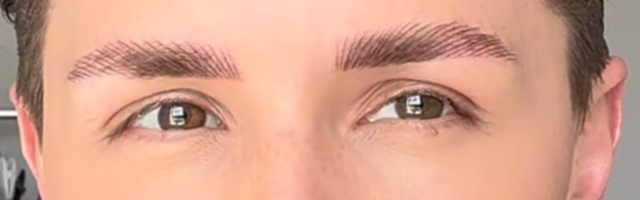 eyebrows2