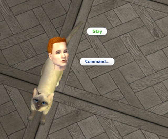 s Go To Bed Dad Im Busy.png