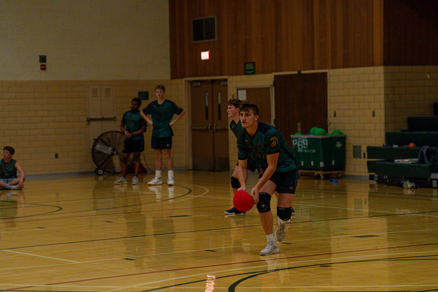 DSC04864.jpg