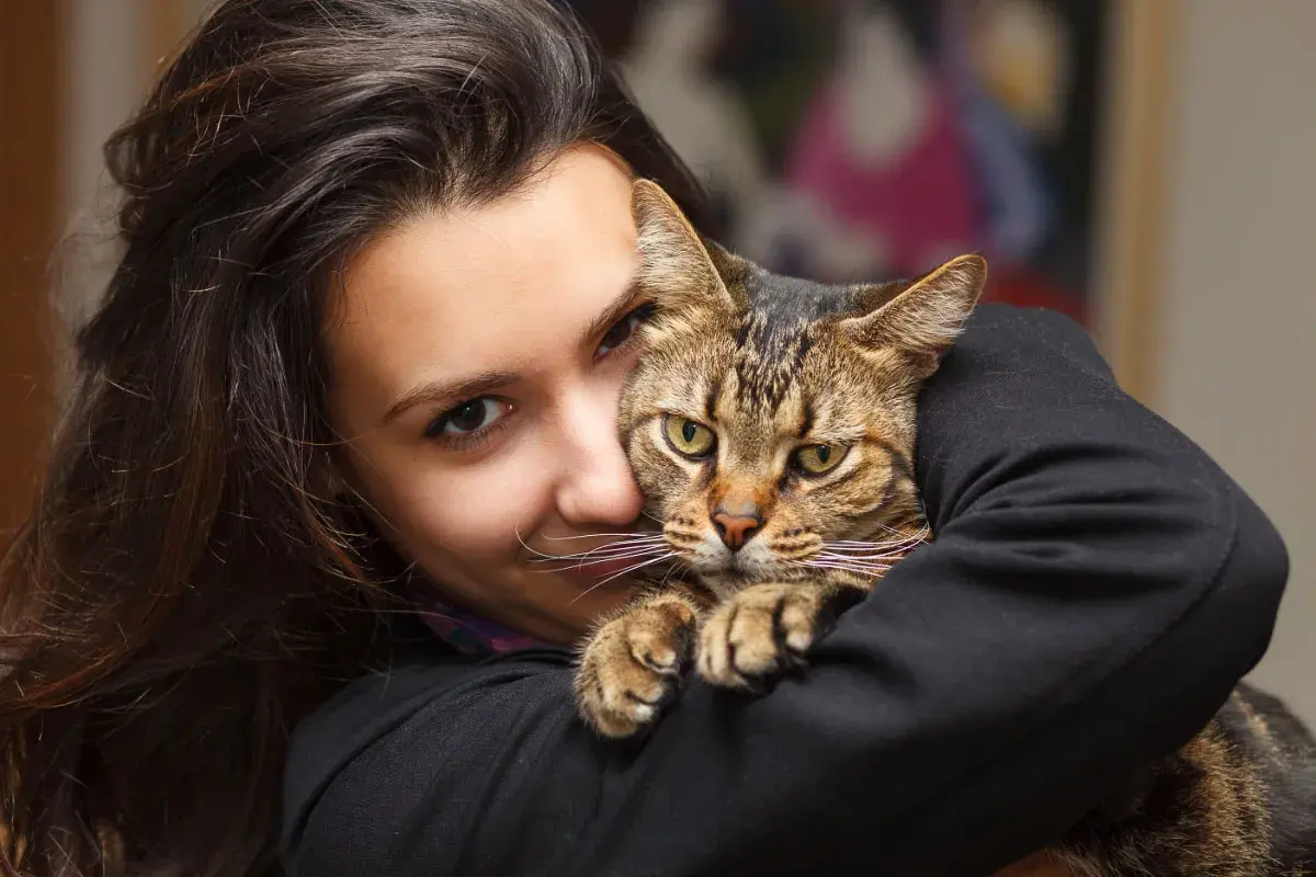 Decoding Your Cat's Behavior: What They're Really Telling You