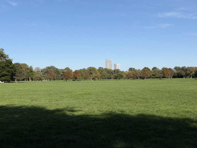 IMG-0633.jpg