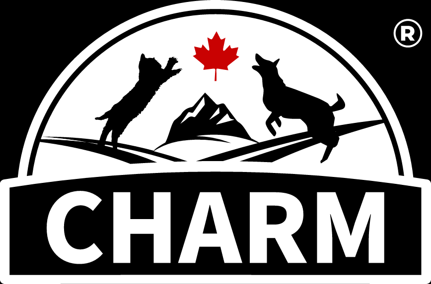 Charm Logo