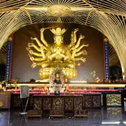 普陀村5