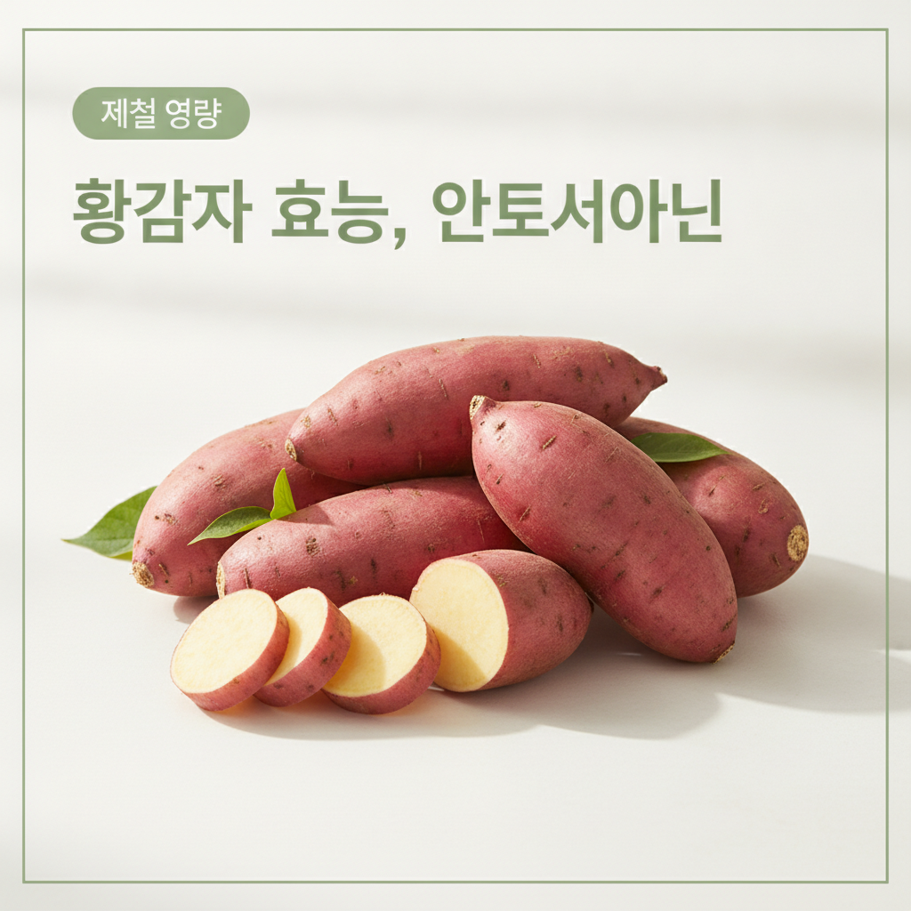홍감자