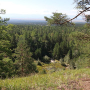 IMG 0343
