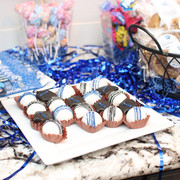 IMG-8528