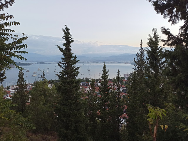 IMG 20260923 064908.jpg