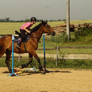 DSC03673
