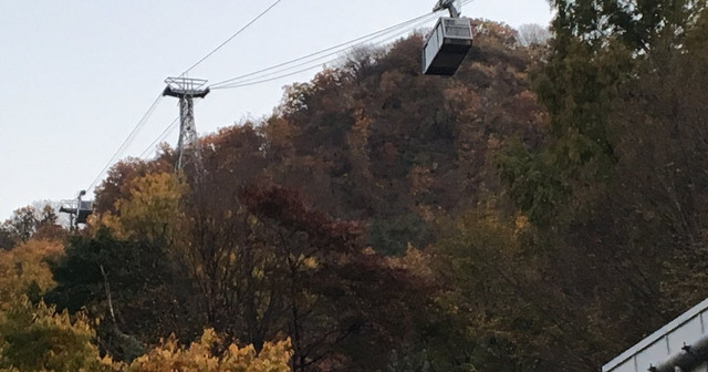 단풍이 든 남산 위를 오르는 케이블카