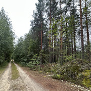 IMG 4975