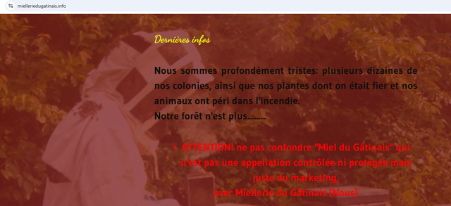 https://i.ibb.co/35XBfV01/Capture-miellerie.png
