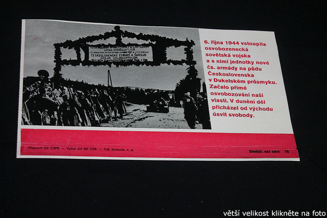 IMG-8628.jpg