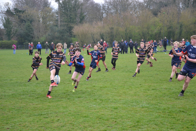 DSC 1102.jpg